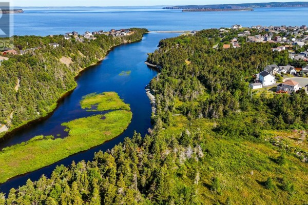 Aerial view of a winding blue river through a forested landscape, with houses and the ocean visible. - 21a Chamberlains Road, Conception Bay South