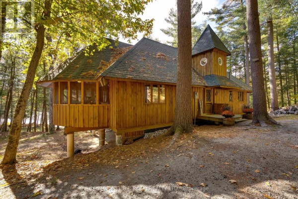 Aerial view of a tree-lined lakefront with a dock and several people on the shore. - 22 - 1213 Camp Jackson Road, Muskoka Lakes