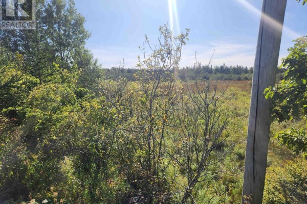 22 Acre 215 Highway, Maitland, NS B0N1T0 Photo 4