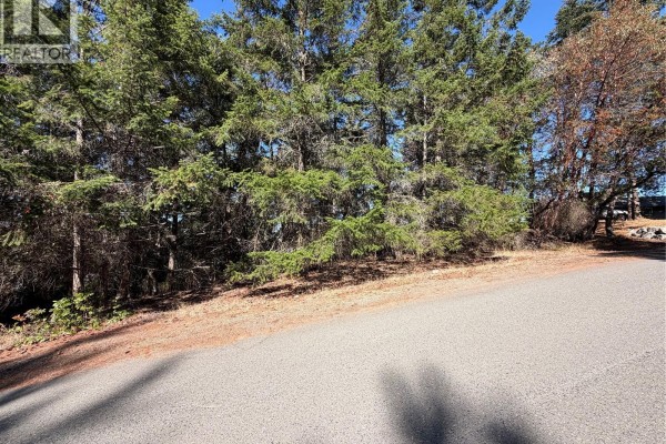 Gravel road leading past a dense line of mature evergreen trees. - 22 Anchor Way, Nanoose Bay