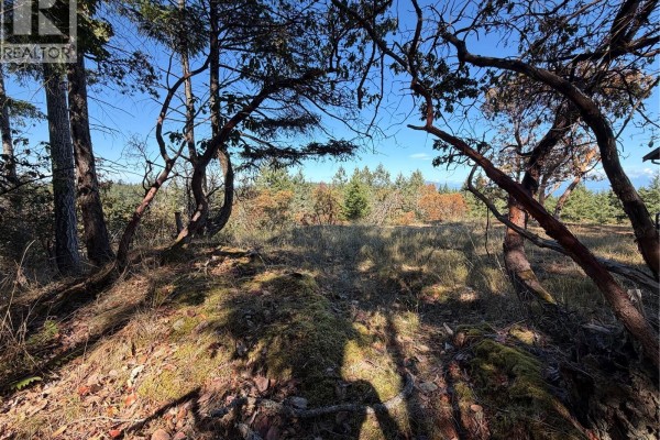 View through trees to a grassy clearing with mossy rocks and blue sky. - 22 Anchor Way, Nanoose Bay