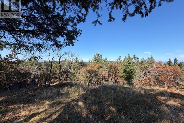 Grassy terrain with scattered trees and shrubs against a bright blue sky. - 22 Anchor Way, Nanoose Bay