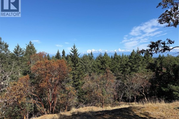 Distant ocean visible over a treed landscape under a clear blue sky. - 22 Anchor Way, Nanoose Bay