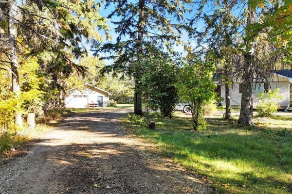 Gravel driveway leading past trees to a detached garage and the rear of the house. - 22 College Park Close, Red Deer