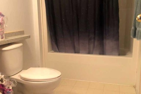 4pc Bathroom - 22 Dewberry Road, High Level, AB T0H1Z0 Photo 5