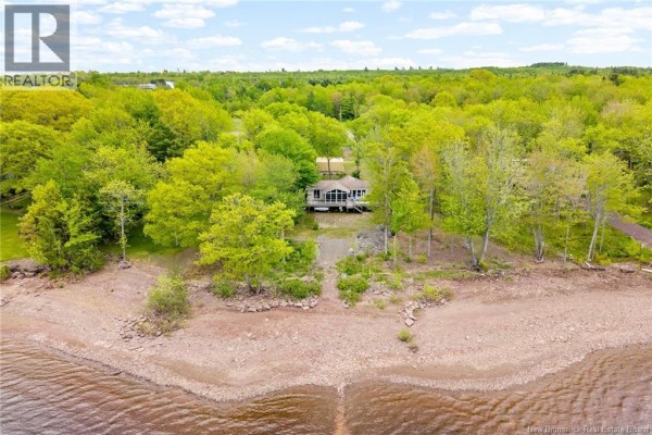 Aerial view of a house surrounded by trees, facing a body of water. - 22 Grandview Court, Whites Cove