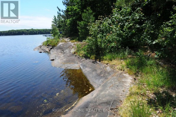 22 Hawkins Point, Georgian Bay, ON P0C1H0 Photo 4