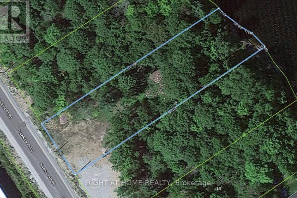 22 Hawkins Point, Georgian Bay, ON P0C1H0 Photo 5