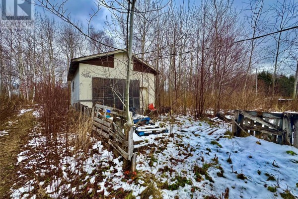22 Lincoln Road, Grand Falls Windsor, NL, photo 3