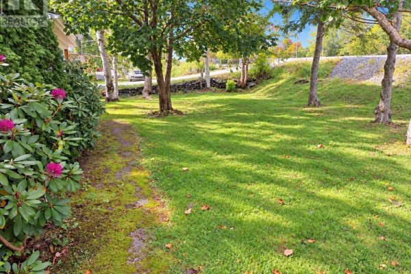 Grassy backyard with trees, bushes, and a stone wall in the distance. - 22 Main Street, Hare Bay