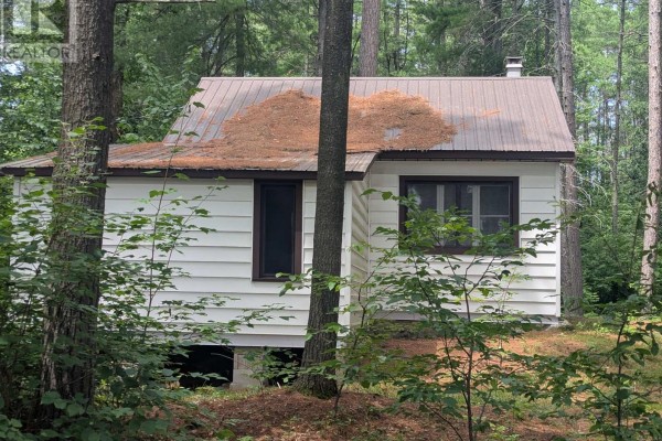 Other - 22 Swan Lane, Madawaska Valley, ON K0J1B0 Photo 2