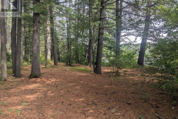 Other - 22 Swan Lane, Madawaska Valley, ON K0J1B0 Photo 4