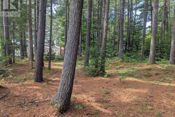 22 Swan Lane, Madawaska Valley, ON K0J1B0 Photo 5