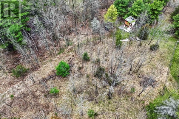 22 Winter Road, Trent Hills, ON, photo 3