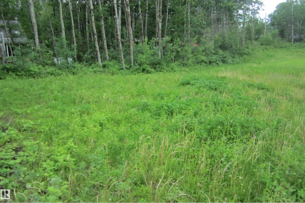 220 11502 Twp Rd 604 S, Rural St  Paul County, AB T0A0A0 Photo 4