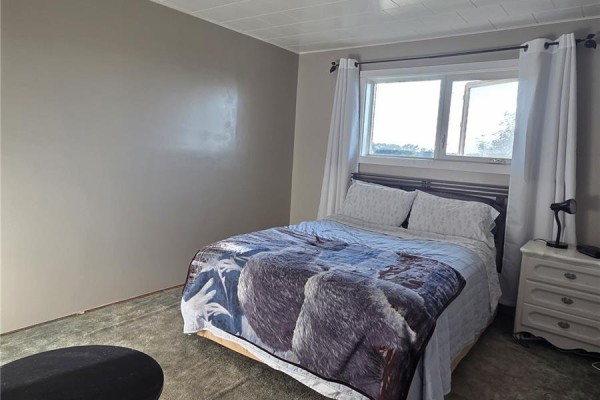 Other - 220 4th Street Nw, Wadena, SK S0A4J0 Photo 5