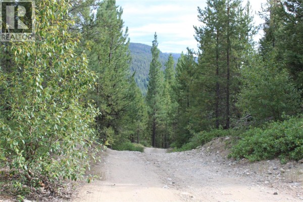 2206 Princeton Summerland Road, Princeton, BC V0X1W0 Photo 5