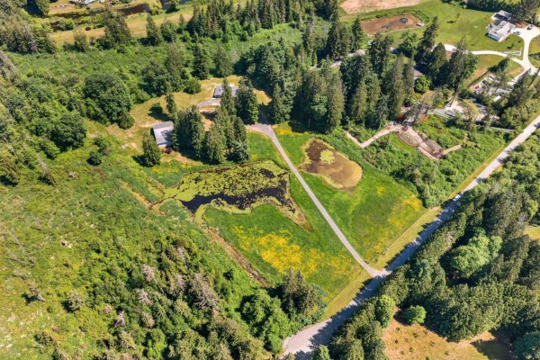 22065 102 Avenue, Langley, BC V1M3V3 Photo 4