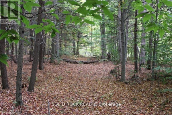 Lots and Land for sale at 2209 Jochem Road, Edwardsburgh/cardinal, ON - MLS® X91ZWQ