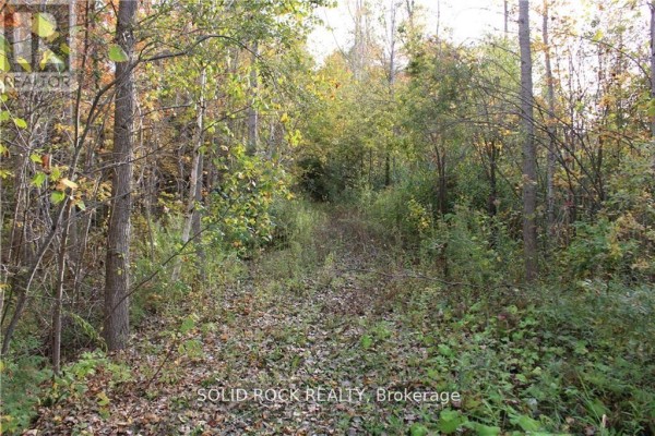 2209 Jochem Road, Edwardsburgh/cardinal, ON K0G1T0 Photo 5