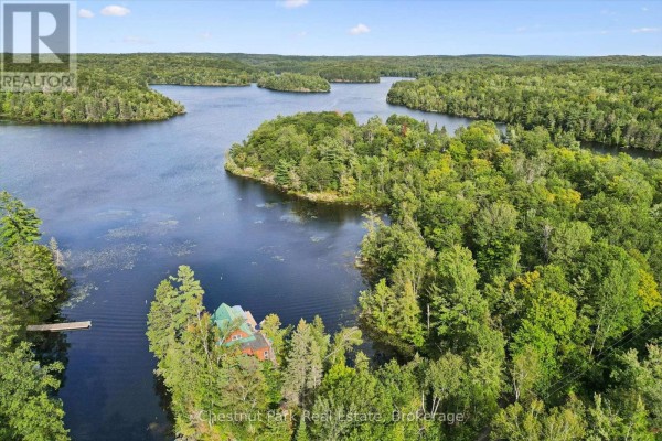 2215 Miriam Drive, Kawartha Lakes, ON K0M2K0 Photo 2