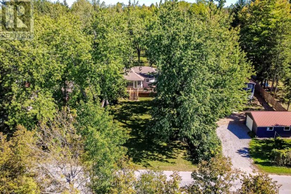 222 Lake Dalrymple Road, Kawartha Lakes, ON L0K1W0 Photo 5