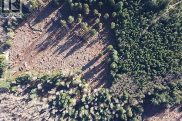 Aerial view of logging area with distinct tree shadows and surrounding forest. - 2224 Swan Road, Powell River