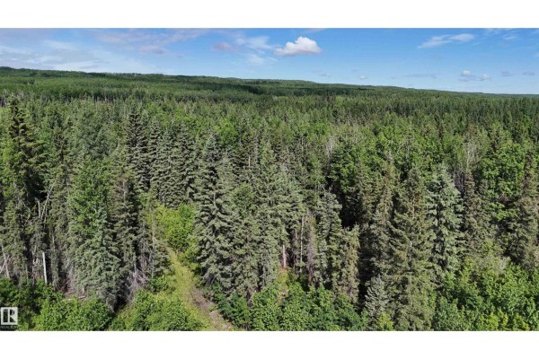 222a Range Rd, Rural Athabasca County, AB T9S2A6 Photo 5