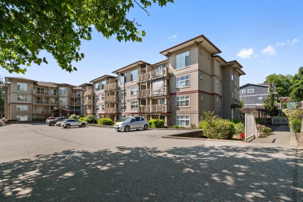 223 2515 Park Drive, Abbotsford, BC V2S0B2 Photo 3