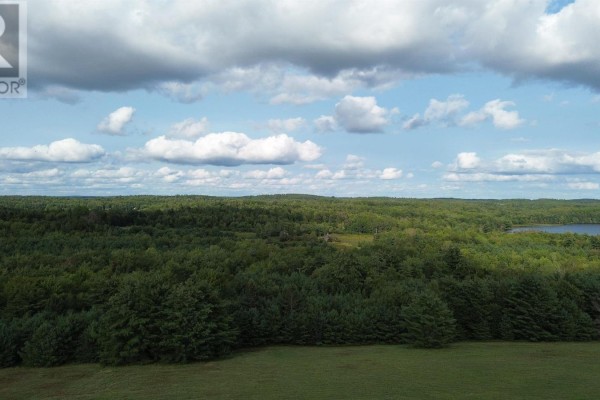 Expansive aerial view of a treed landscape with a body of water and distant rolling hills under a cloudy sky. - 223 Seamone Road, Upper Branch