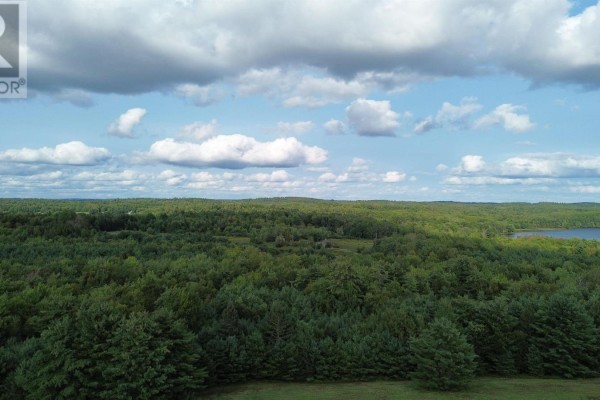 Expansive aerial view of a treed landscape with a body of water and distant rolling hills under a cloudy sky. - 223 Seamone Road, Upper Branch