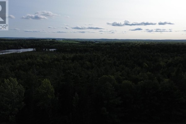 Aerial view of a dark forest stretching to the horizon with a distant lake and subdued cloudy sky. - 223 Seamone Road, Upper Branch