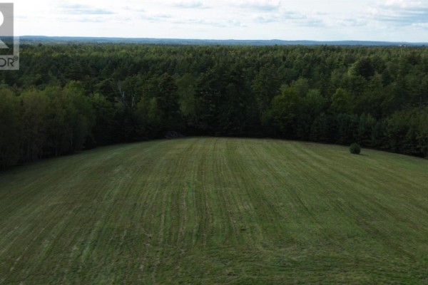 Aerial view of a mowed grassy field with tall trees along the edge and a dark forest beyond. - 223 Seamone Road, Upper Branch