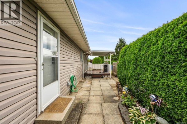 Walkway with concrete pavers along the side of a gray-sided house with a green hedge. - 2233 6th St E, Courtenay