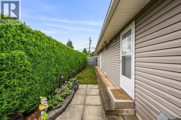 Paved walkway beside a tall green hedge and a gray-sided house with multiple exterior lights. - 2233 6th St E, Courtenay