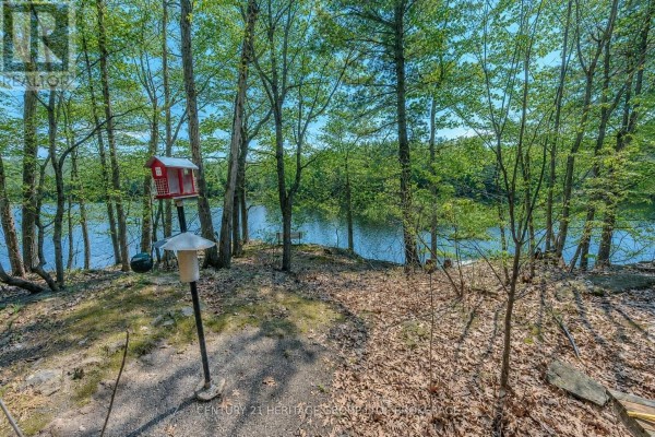 Waterfront yard with birdhouse, lamppost, bench and trees - 2238 Little Long Lake Road Frontenac