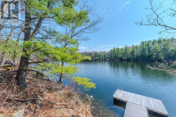 Lakefront with dock and trees - 2238 Little Long Lake Road Frontenac