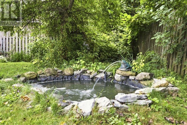 Garden pond with frog fountain and stone border - 224 Nelson Street Pembroke