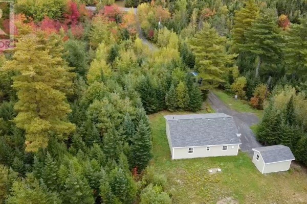 Aerial view of the bungalow and detached shed surrounded by dense coniferous and deciduous trees. - 2247 Camperdown Road, Lapland