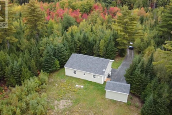 Aerial view of the bungalow nestled among evergreen trees with colorful autumn foliage nearby. - 2247 Camperdown Road, Lapland