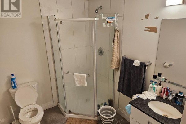 Bathroom with toilet, corner shower stall, sink, and vanity with mirror. - 225 - 652 Princess Street, Kingston