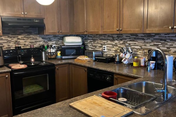 225 Schreyer Crescent, Milton, ON L9T7B6 Photo 2