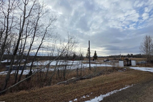 22541 Twp Road 515a, Rural Strathcona County, AB T8C1H5 Photo 4