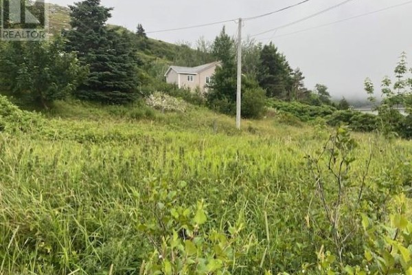 Bath (# pieces 1-6) - 226-230 Main Road East Road, Salmon Cove, NL A0A3S0 Photo 4