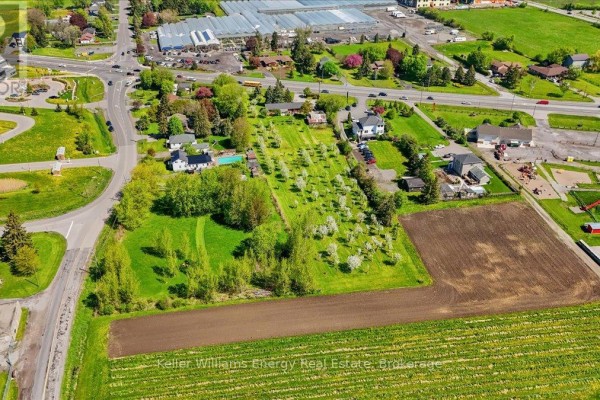 Sunny green field with dappled light from blooming trees and blue sky. - 2263 Hwy 2, Clarington