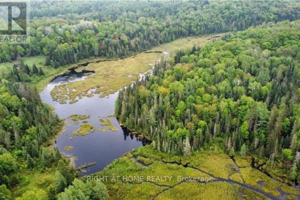 2263 Machar Strong Boundry Road, Strong, ON, photo 2