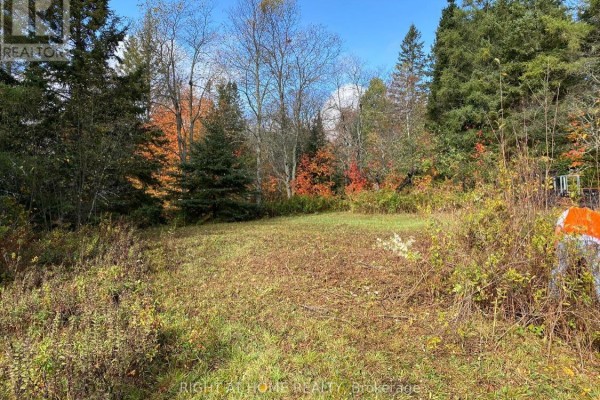 2263 Machar Strong Boundry Road, Strong, ON P0A1Z0 Photo 4