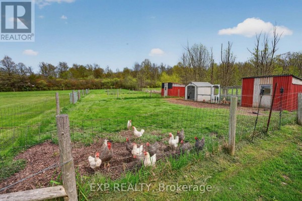 Kitchen - 2266 Pettit Road, Fort Erie, ON L2A5M4 Photo 5
