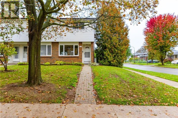 Recreation room - 227 Fergus Avenue, Kitchener, ON N2A2H6 Photo 3