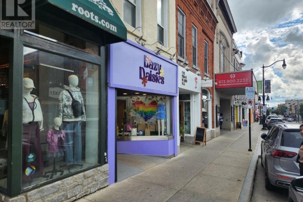 227 Princess Street, Kingston, ON K7L1B3 Photo 2